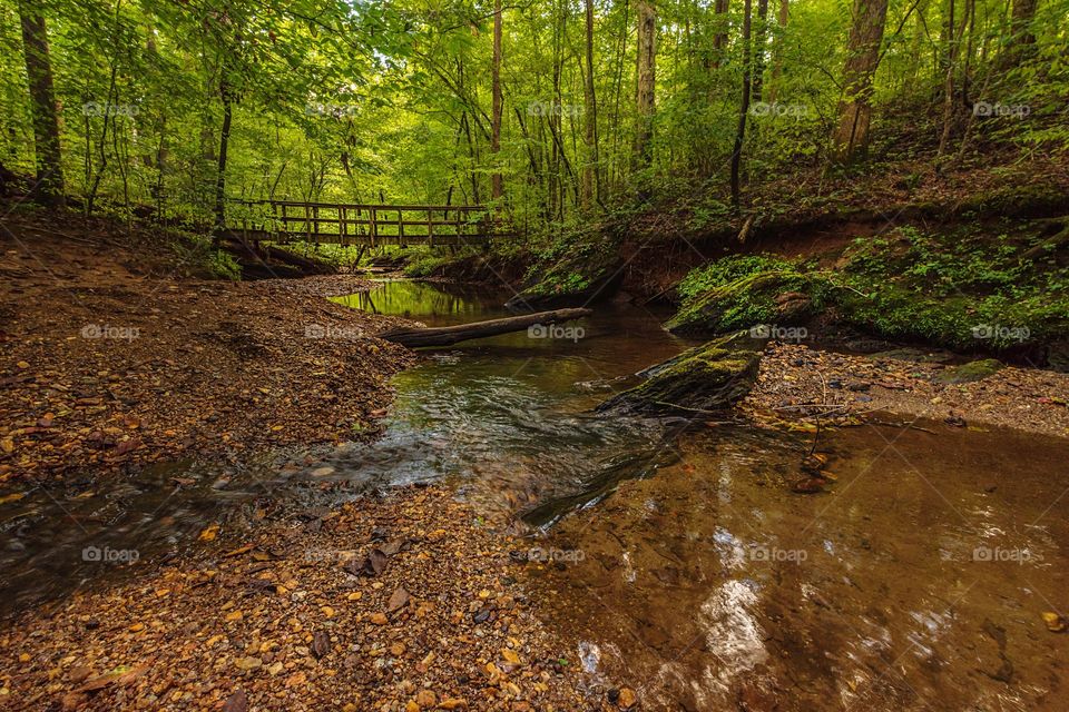 Wide angle creek and footbridge