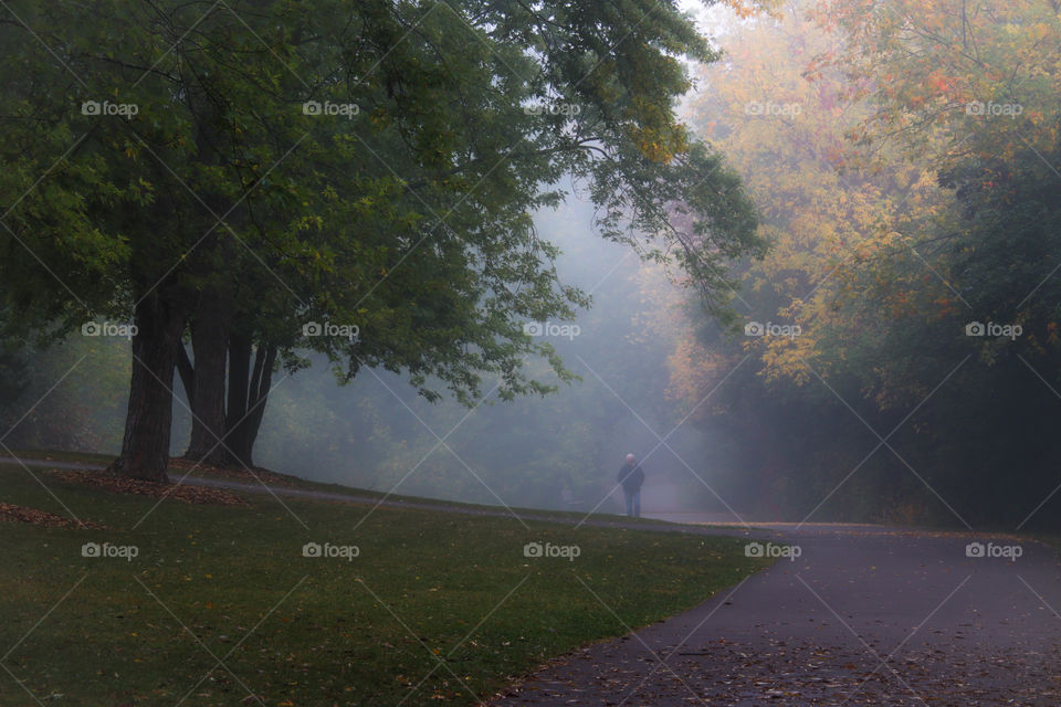 Walk on a foggy morning