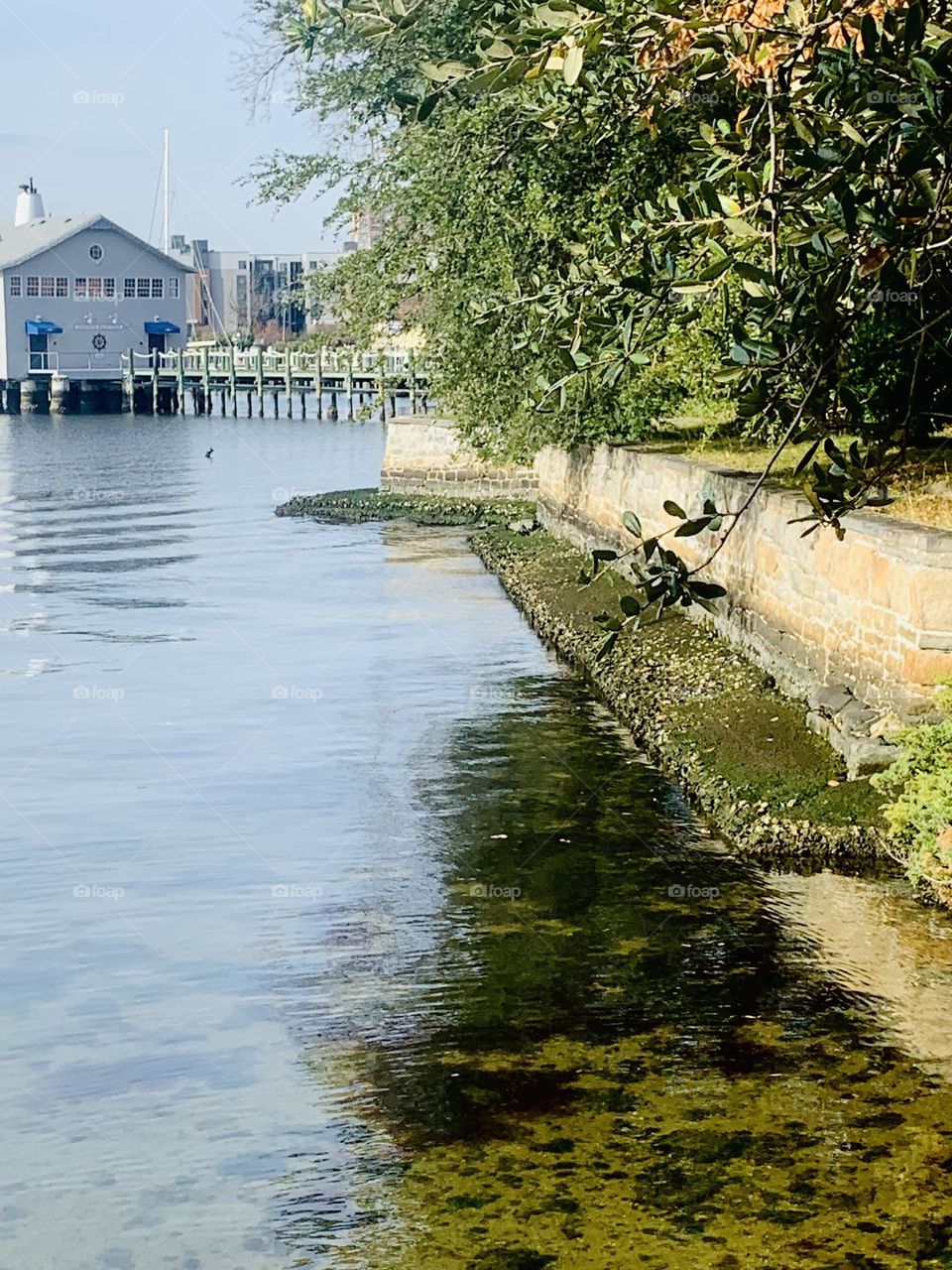 Norfolk harbor 