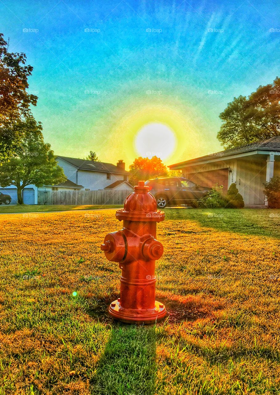 Newly painted fire hydrant in morning sun