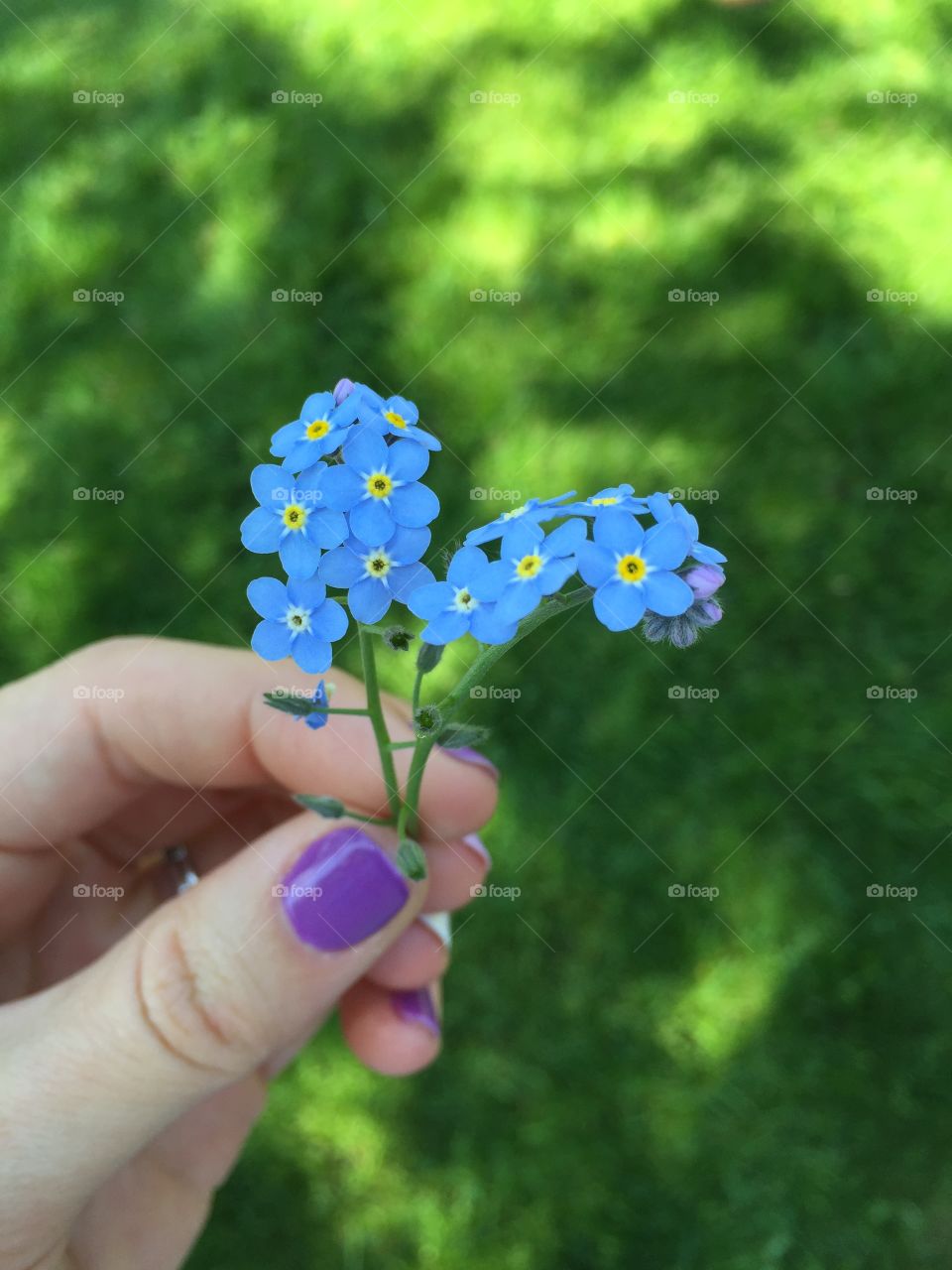Mini Flowers 
