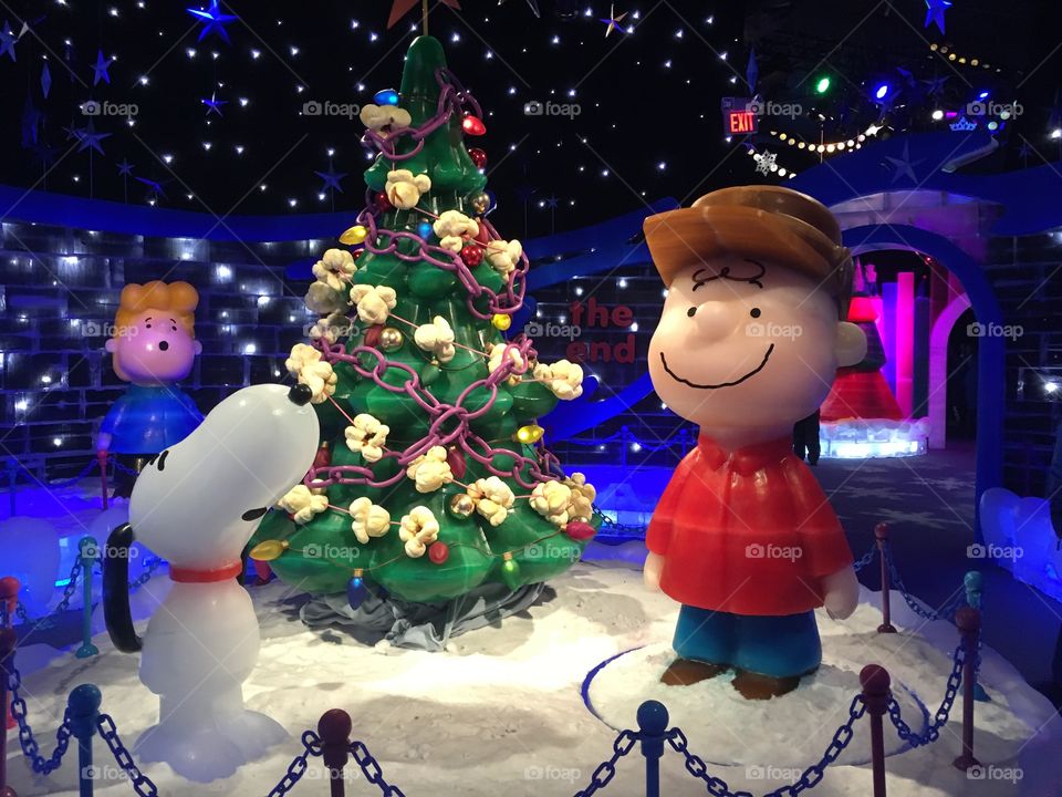 ICE at Gaylord Palms feat. Charlie Brown