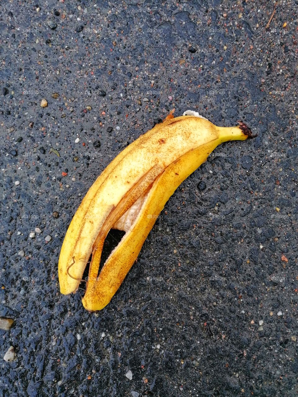 Did you forget your banana land in the rain?