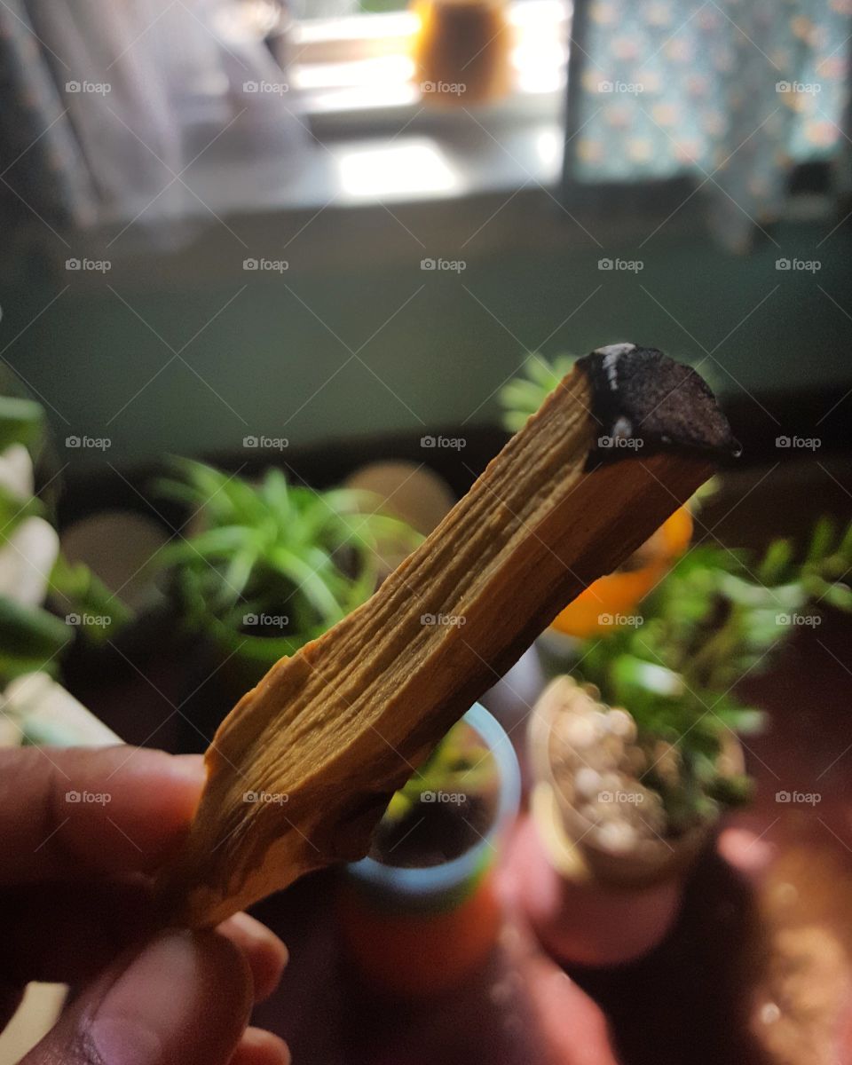 palo santo wood incense