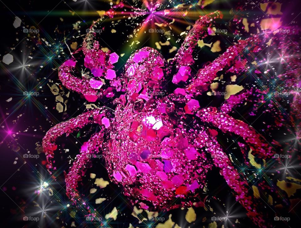Sparkling spider