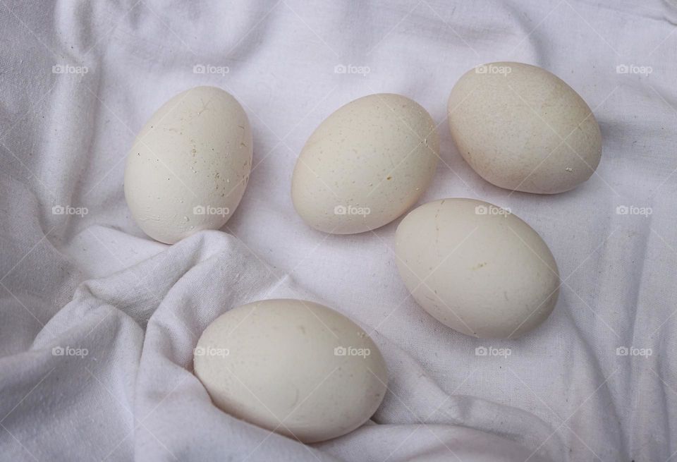 White eggs