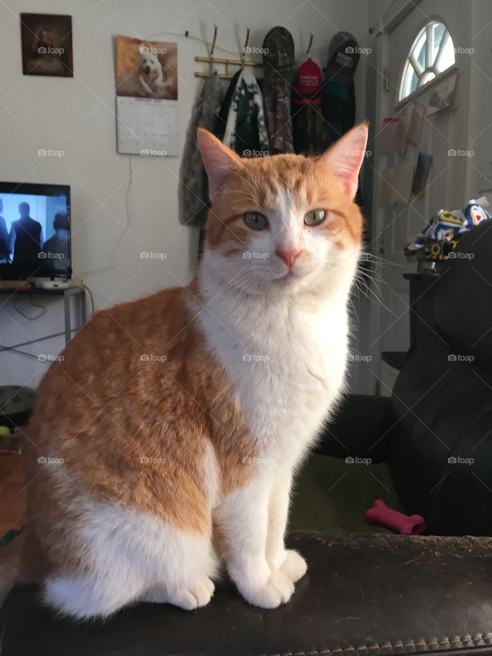 What not another picture I know I’m handsome but come on. Seriously, say cheese!