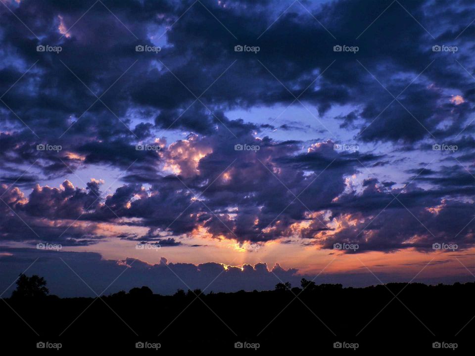 stately and dramatic colors and contrast.