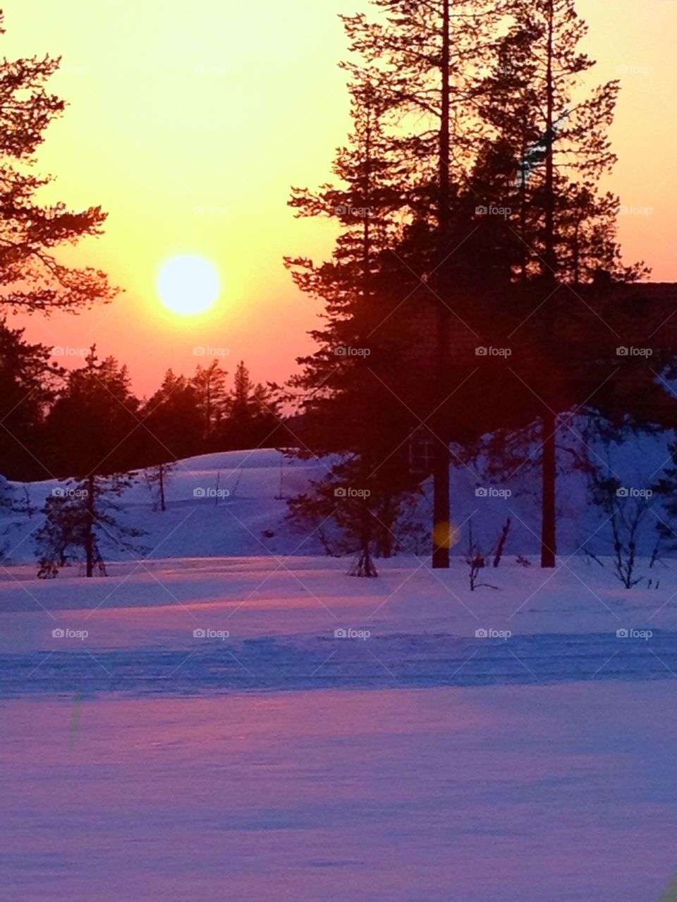 Sunset winter