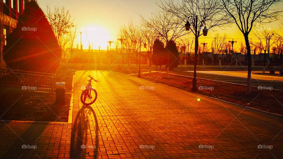 Street, Road, Sunset, Light, Dawn