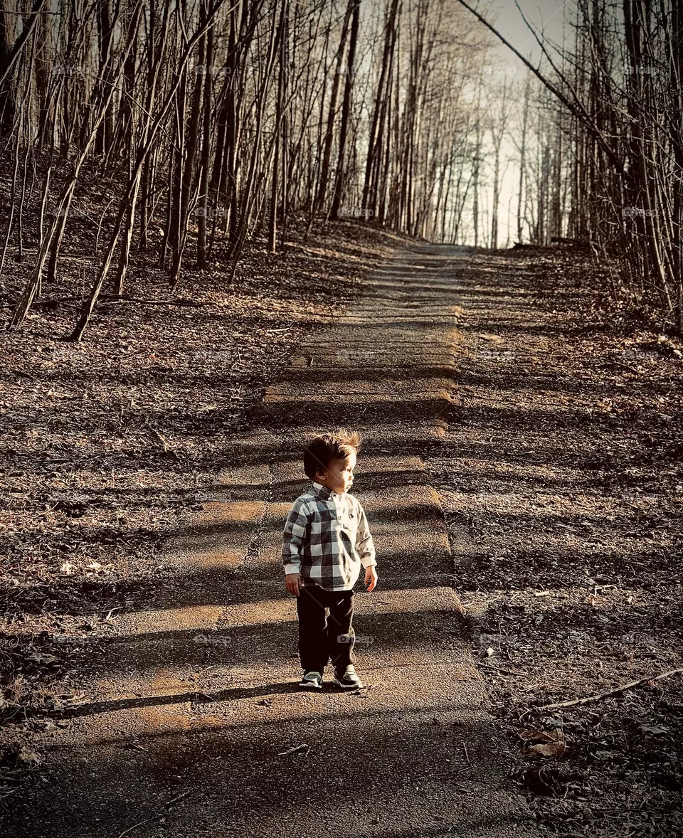 Wooden path 