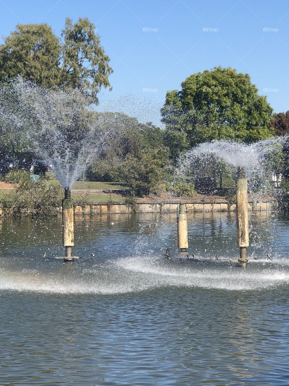 Water feature 