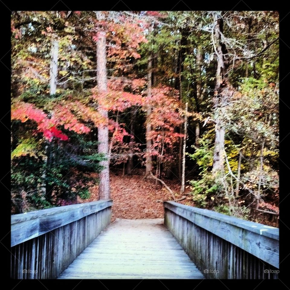 hiking in VA