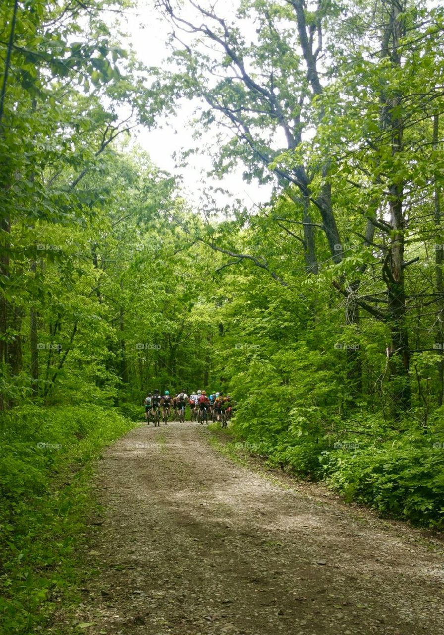 Mountain Biking Race 