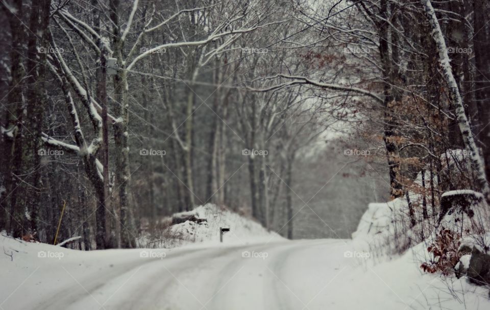 Snow Road. Vermont Route 7, through the Green Mountains, sometimes gets a little lost in the winter's wonders