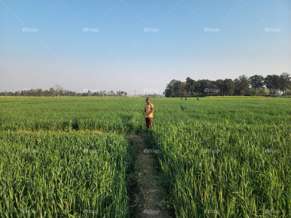 Boy standing in middle of a farmland