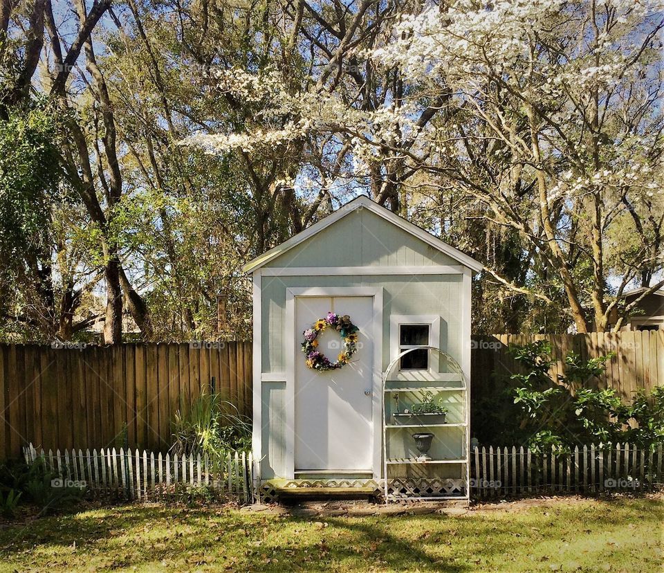 Shed in the backyard 