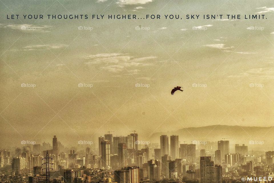 Let your thoughts fly higher...