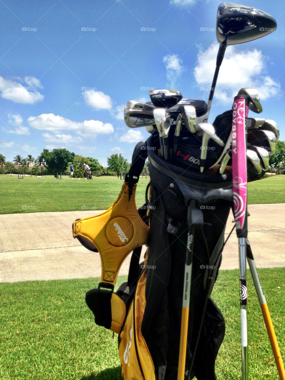 Golf pole bag on golf course