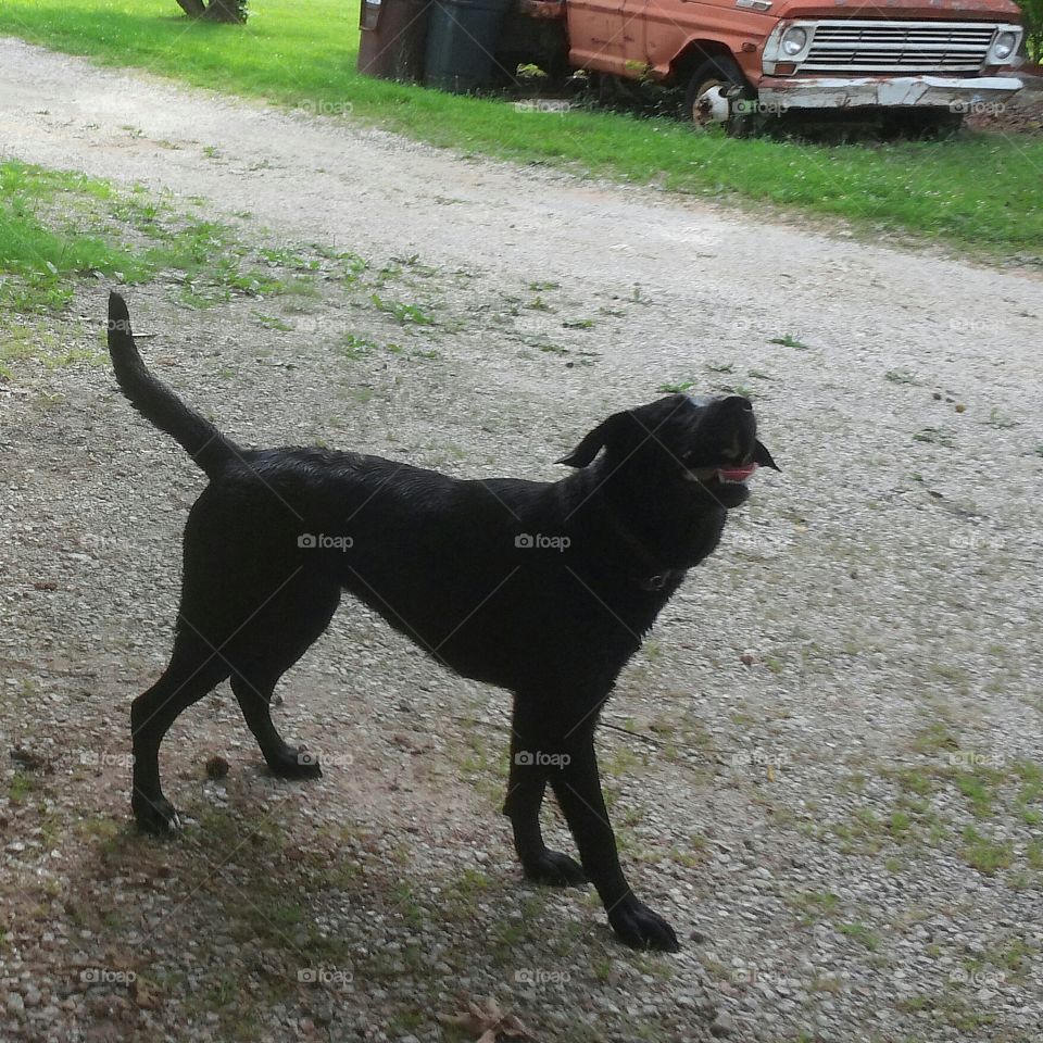 Playing with the water hose