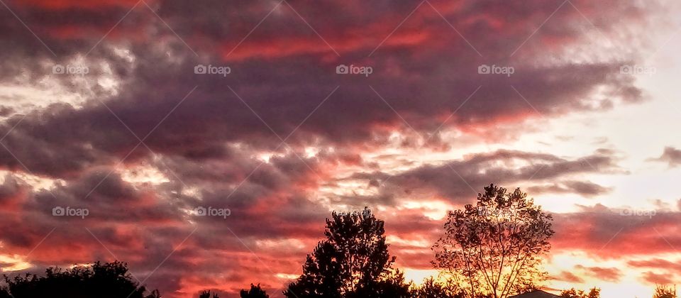 lavender and pink clouds in the evening