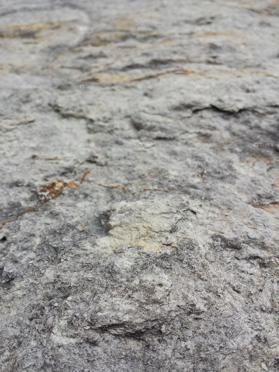 Limestone Colors