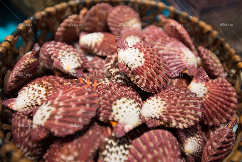 Red seashells in basket