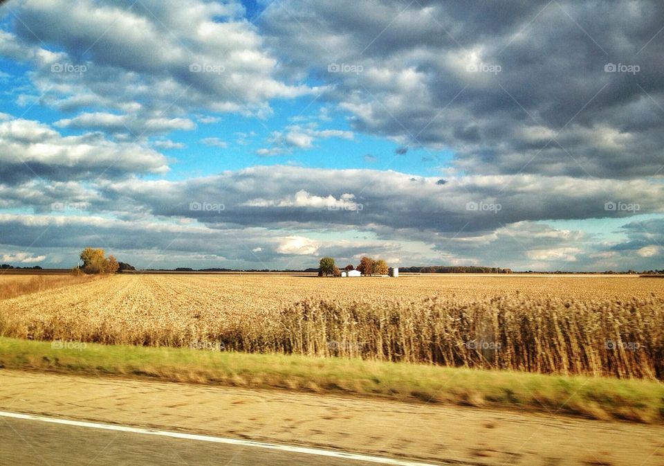 The Passenger's View