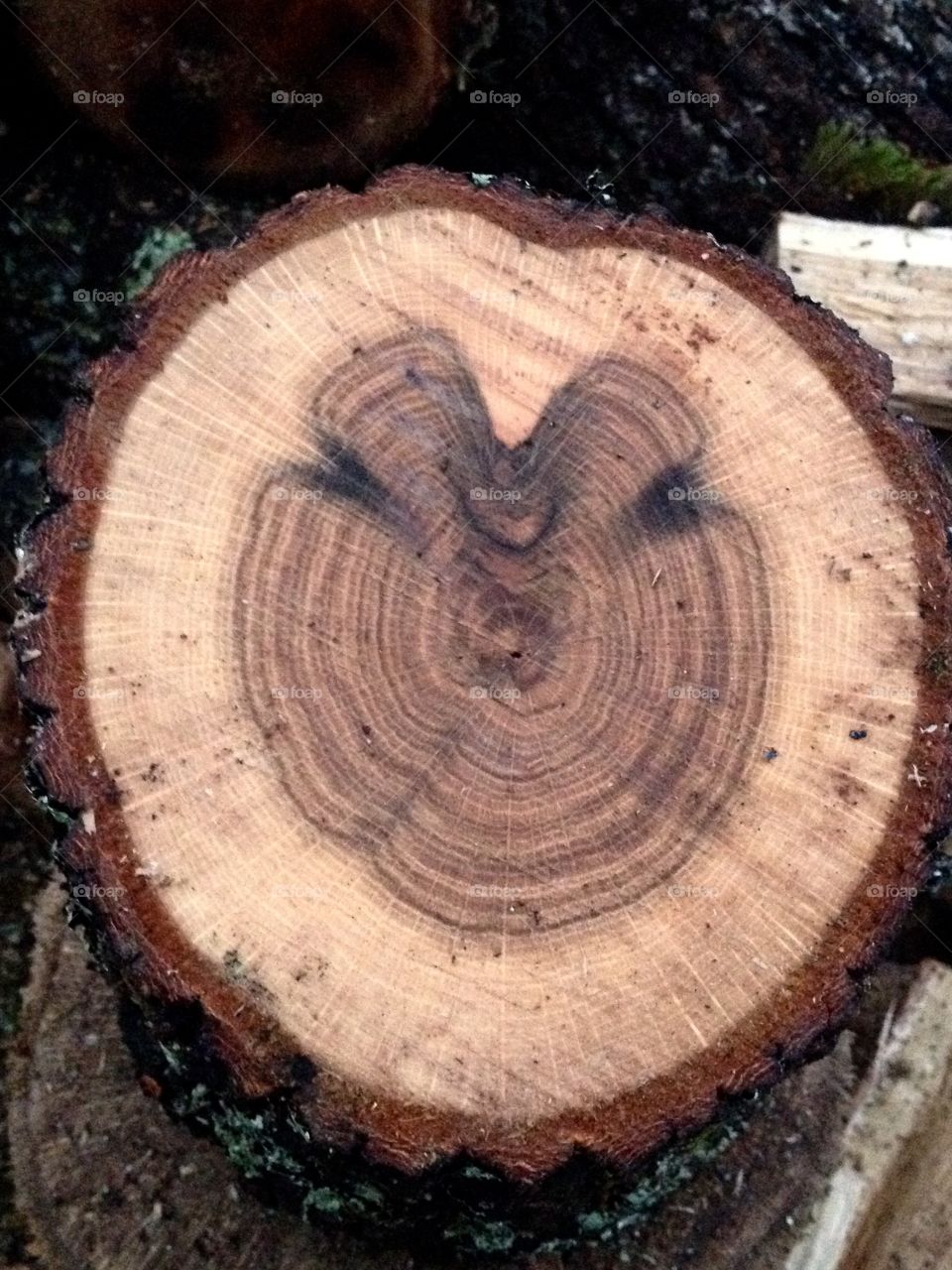 Nature is the greates artist