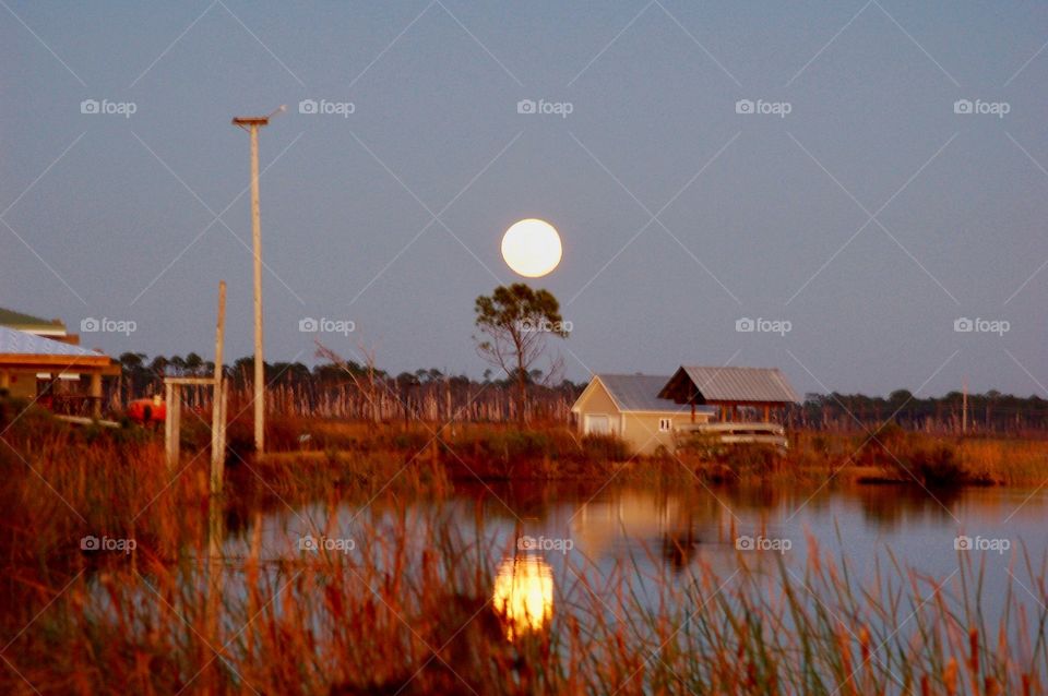 Marsh Moonrise