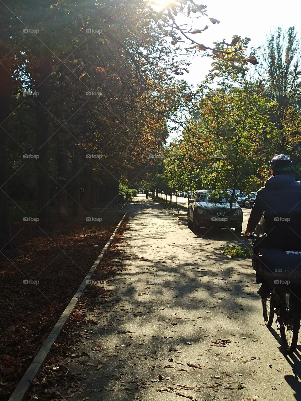Sunny day. Street in sunlight. Cyclist. Beginning of autumn