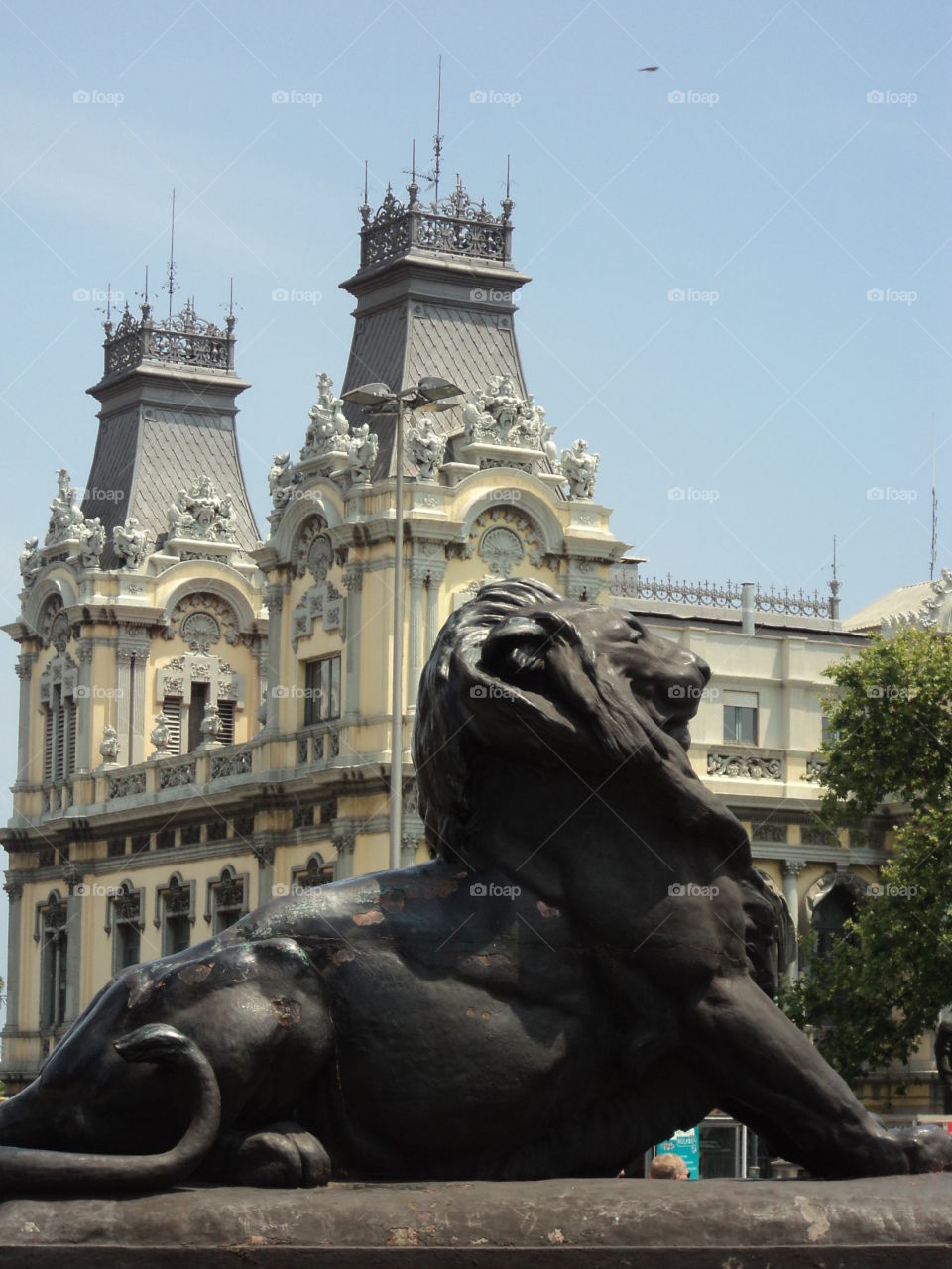 Lion from Barcelona