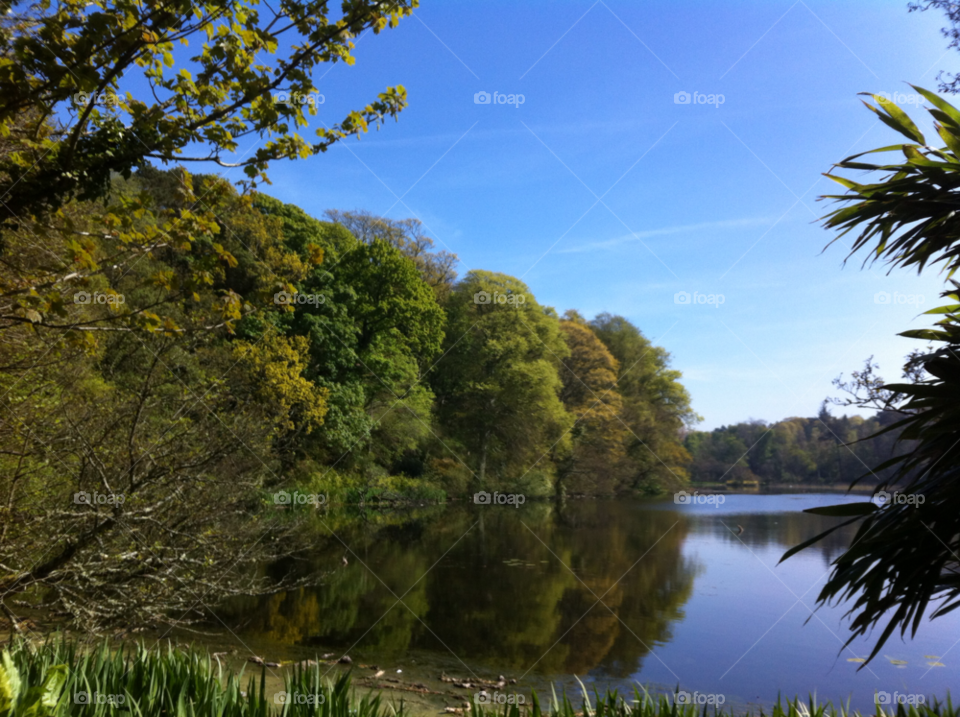 trees reflection blue sky culzean castle by 123smaller