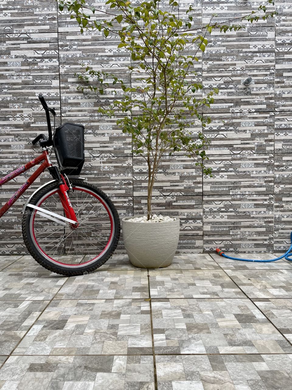 Bicycle in the garden
