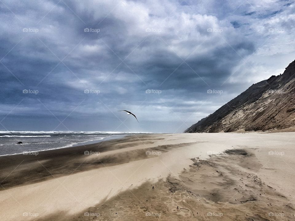 windswept sand on the beach