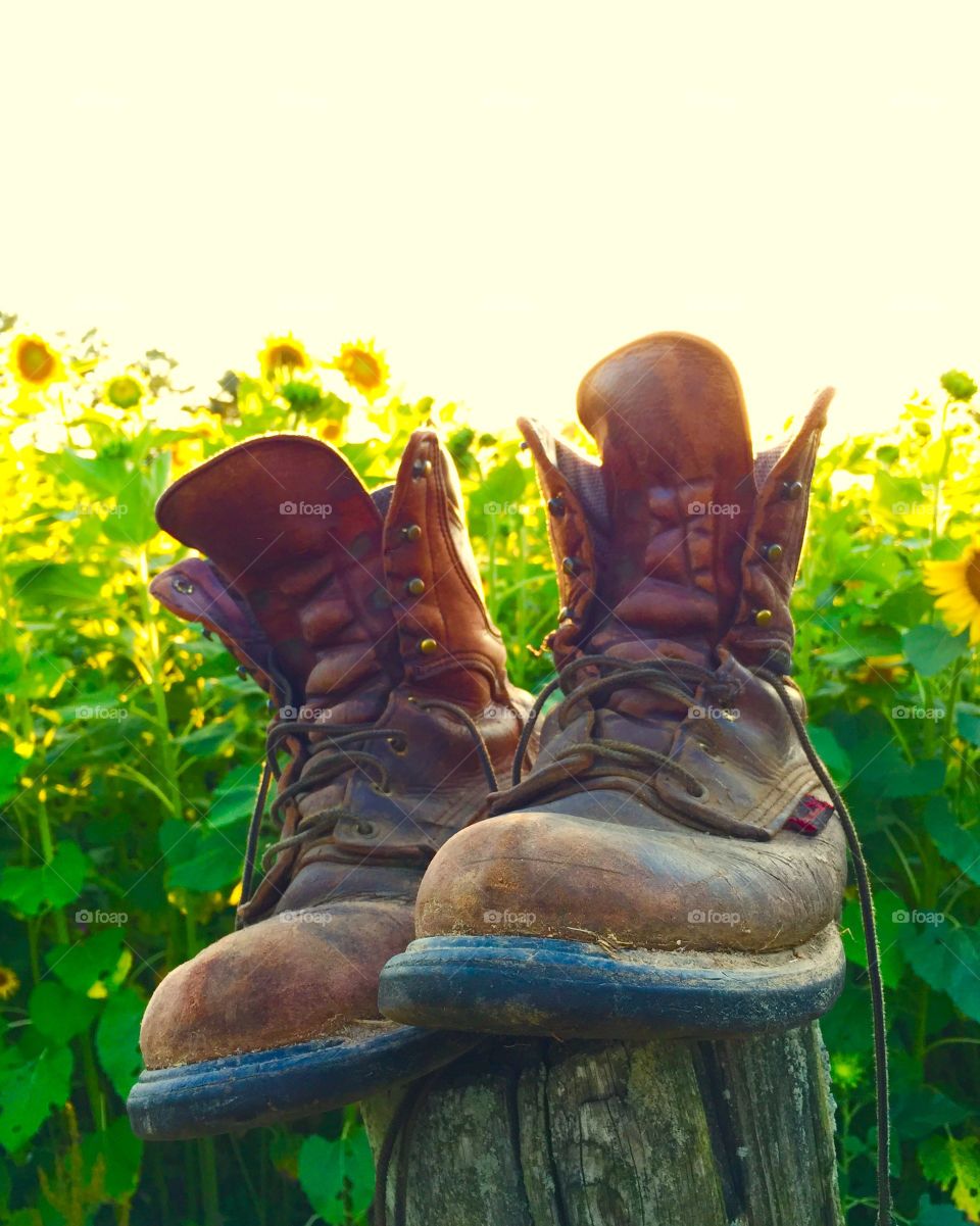 Hiking boots in front of sunflowers