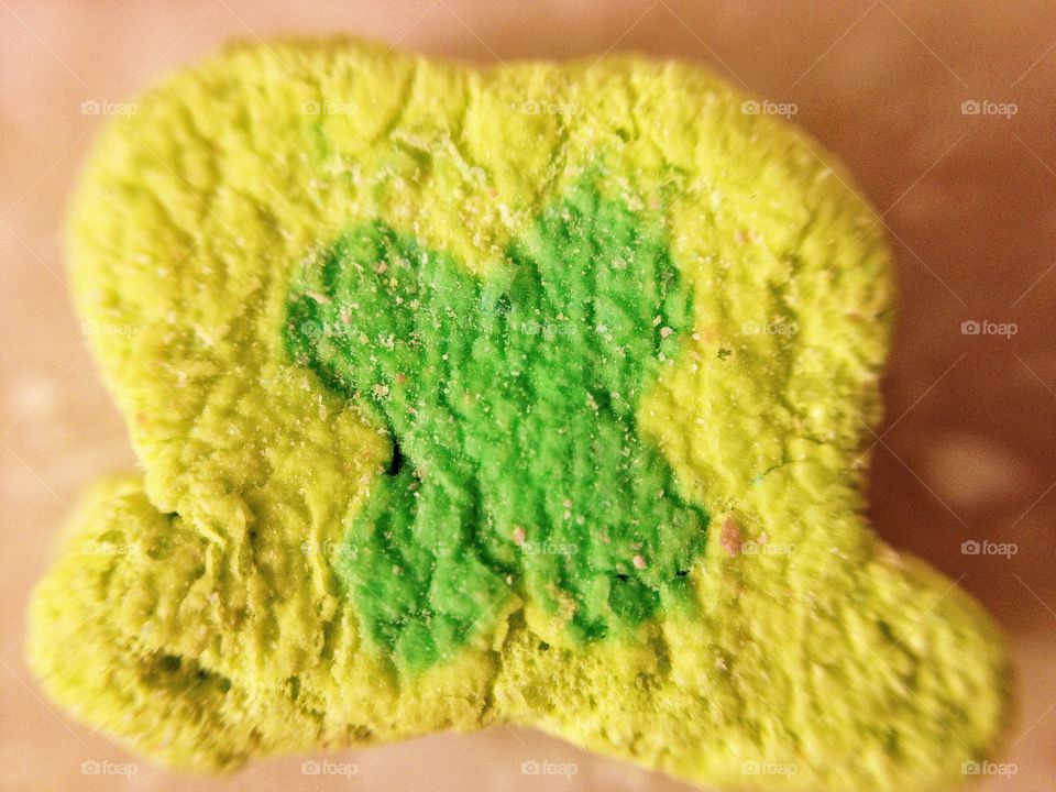 Macro of a Lucky Charm marshmallow