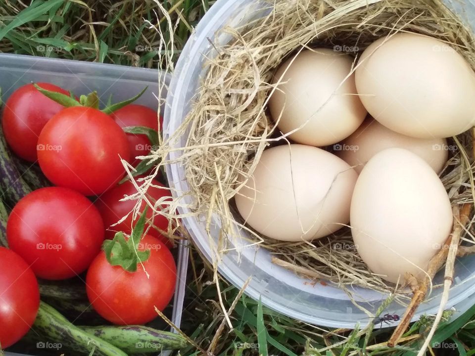 Fresh eggs, tomatoes and beans from the garden
