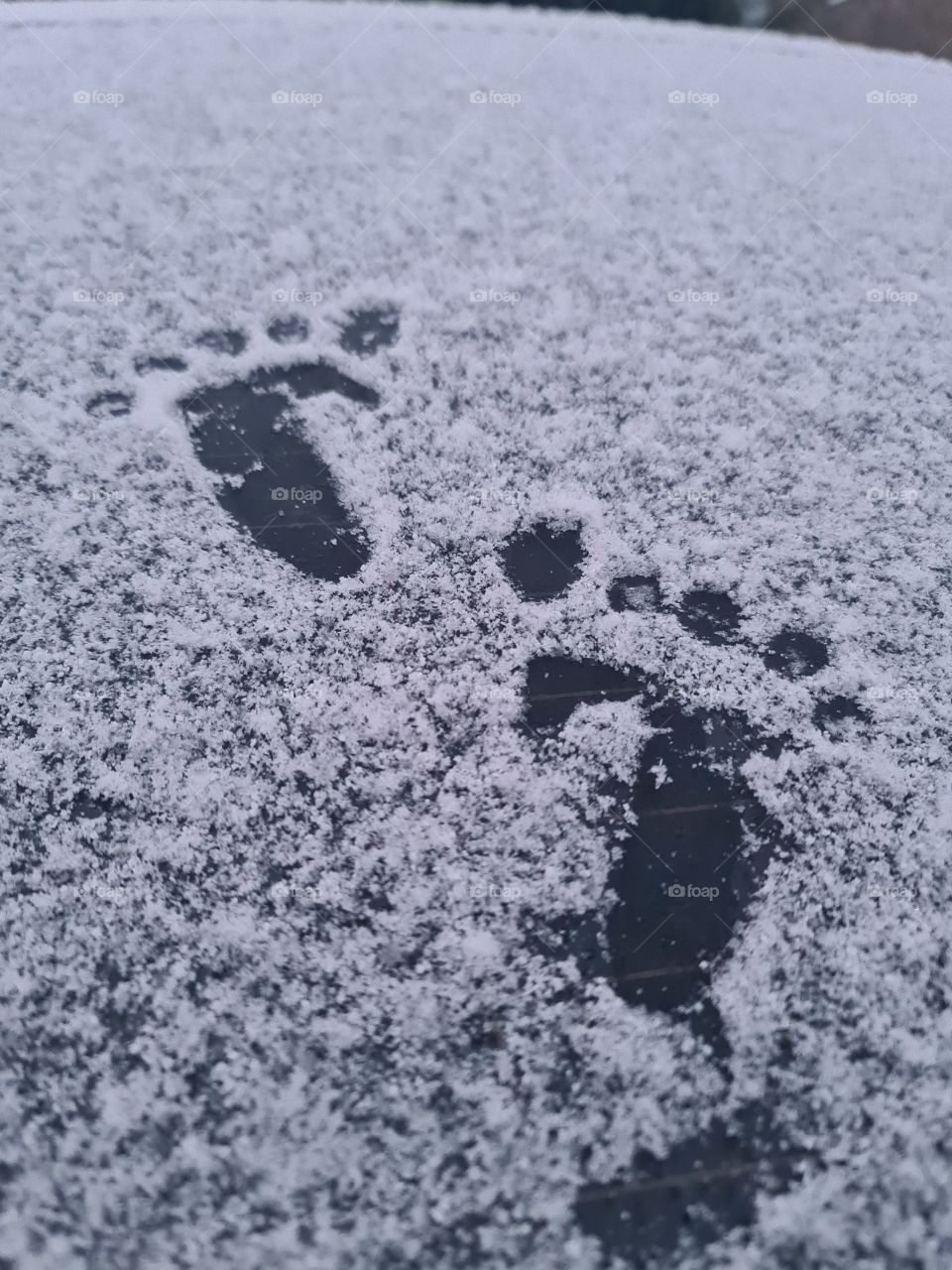 Bare foot in cold