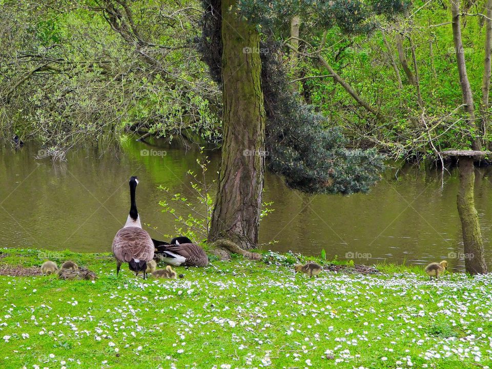 It's definitely spring!