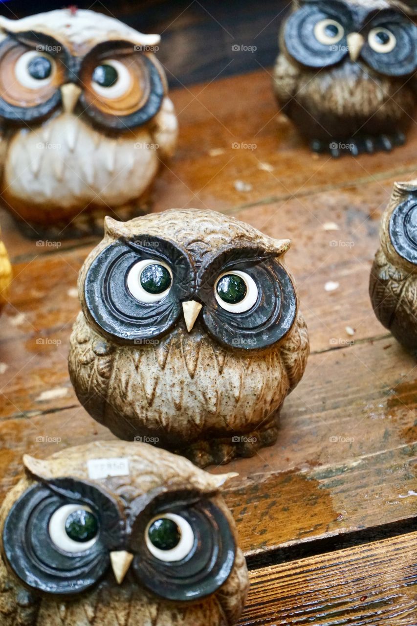 Soulful eyes of a pottery owl