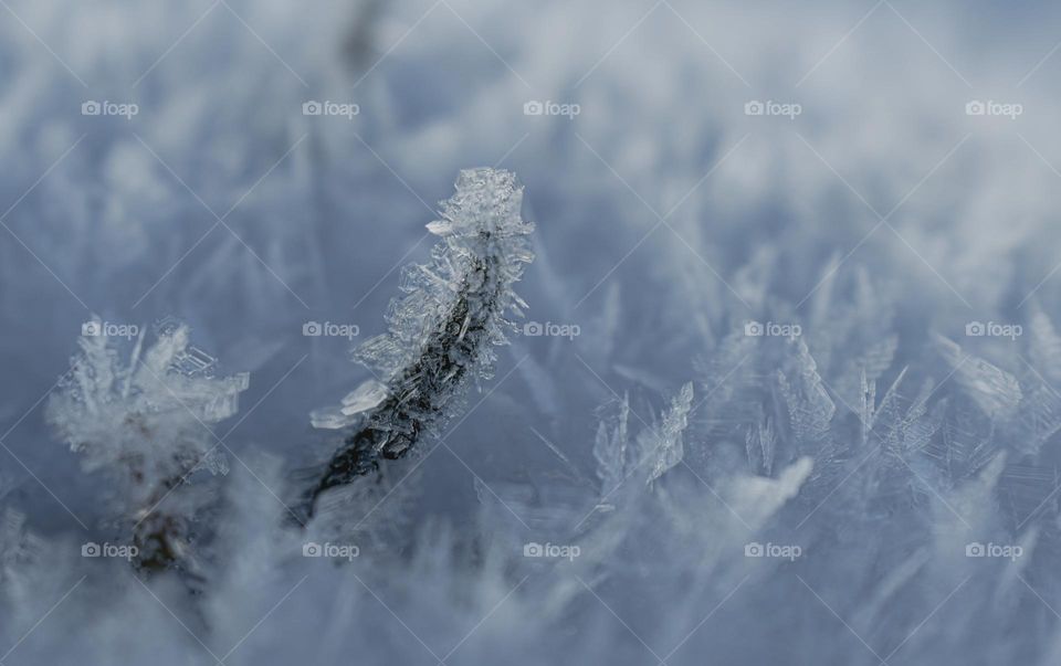 irregular shaped crystal stick each other forms a frozen forest feel