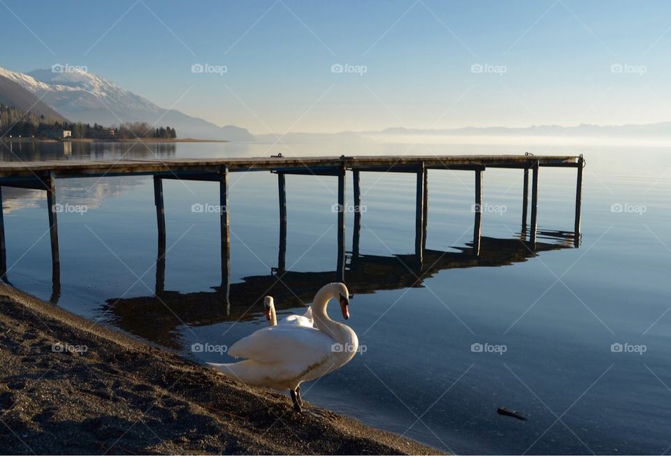 Ohrid lake 