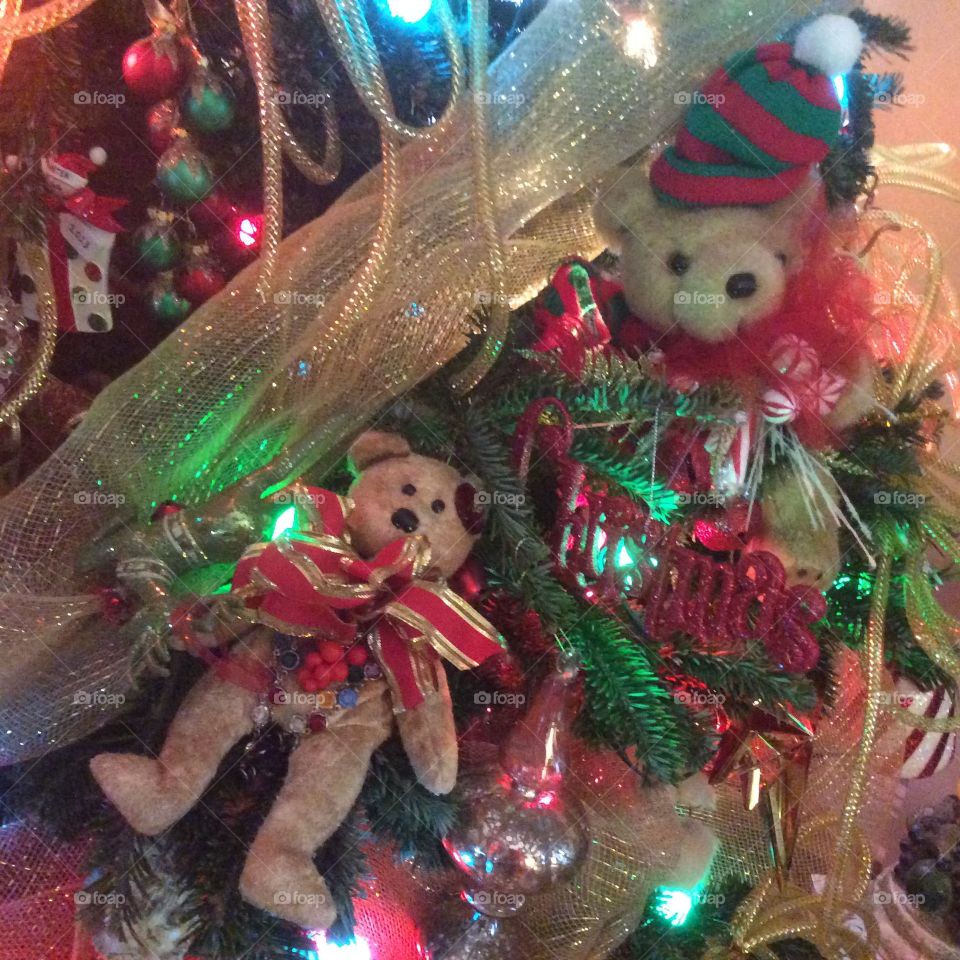 Christmas Bears on Tree