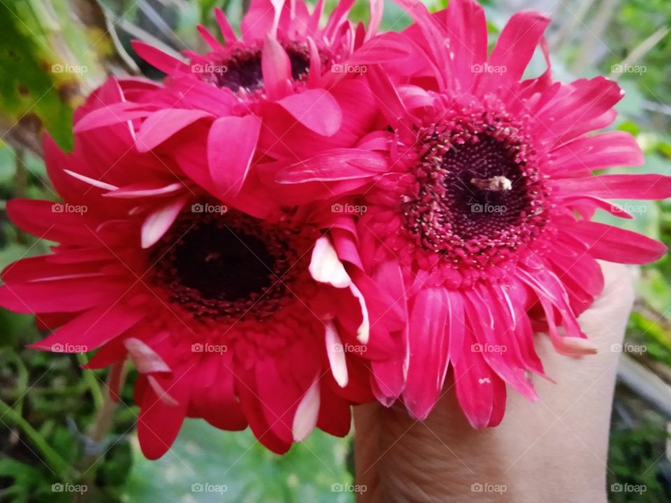 Editors' choice:Photo of the week