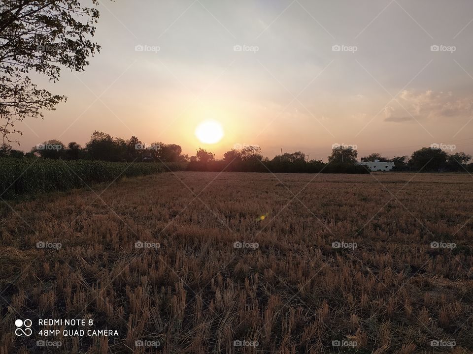 evening picture in village