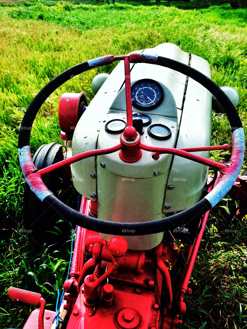 Vintage antique American small farm tractor in a field of grain shoots