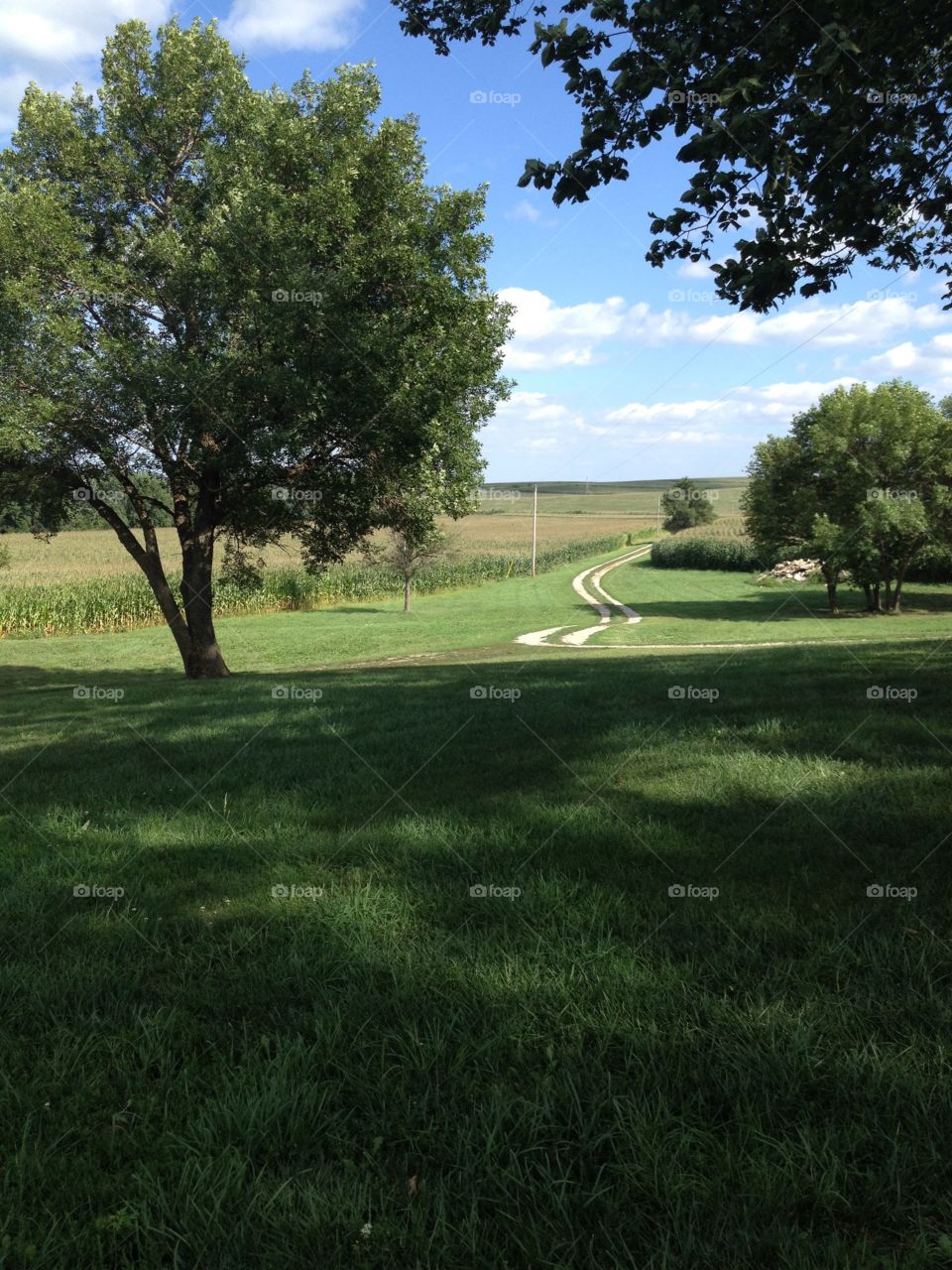 A Country Lane