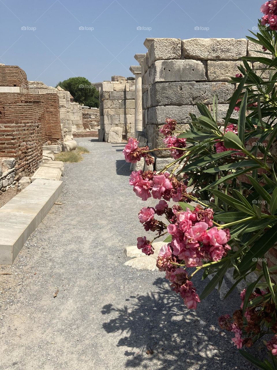 Ancient ruins Sunny holidays I’m Turkey. Walk in the cute city and charming streets by the beach in Kusadasi. perfect blue sky and ocean view. Beach and the shore. To travel is to live. Gorgeous tall palm trees.