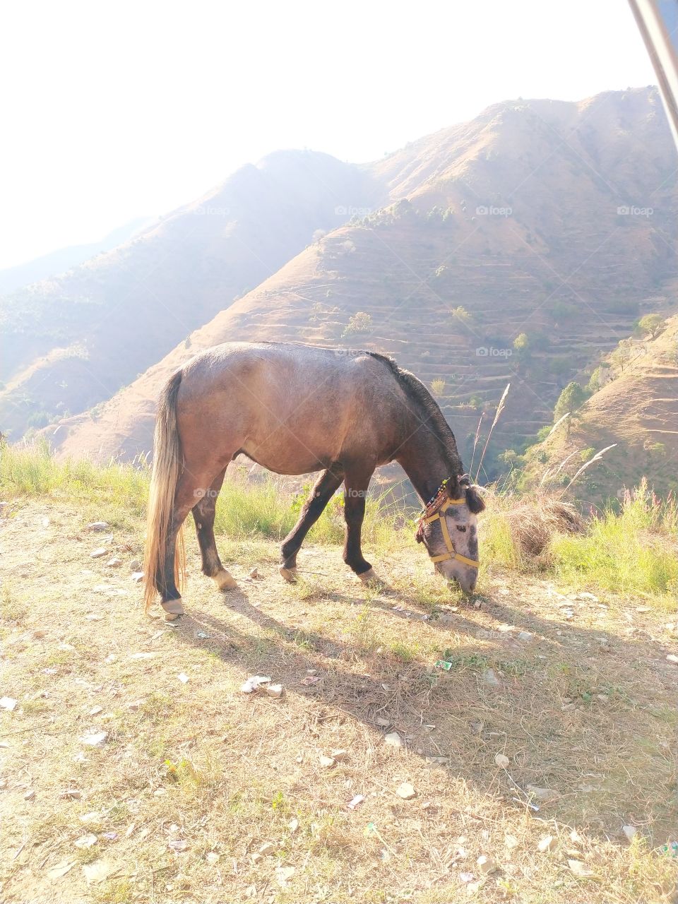 Wonderful view on the way to Uttarkashi